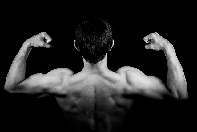 Jak wyrobić mięśnie? Odżywki na mase Olimp 4+ nutrition
