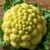 Romanesco – odkryj zdrowe właściwości i zastosowania kulinarne
