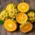 Ugli fruit – zdrowy owoc pełen witamin i właściwości zdrowotnych